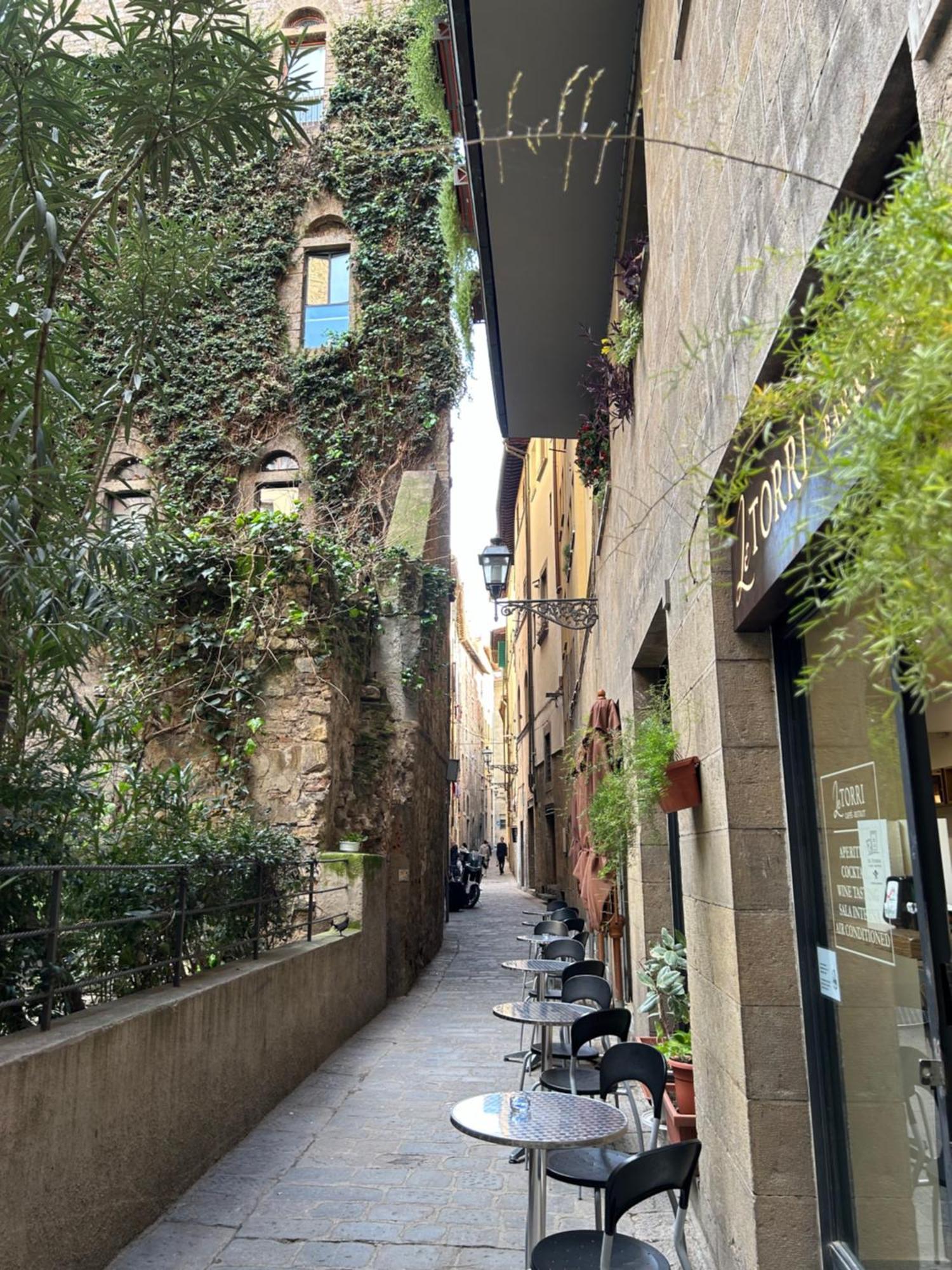 Apartamento Borgo San Jacopo 8